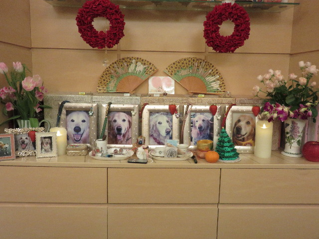 ファイル 4665-2.jpg