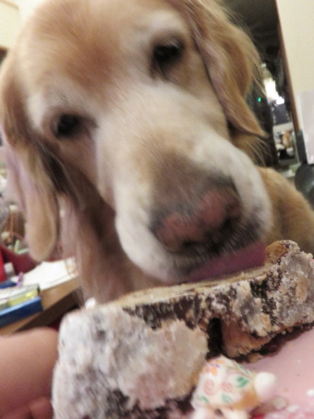 ファイル 4665-3.jpg