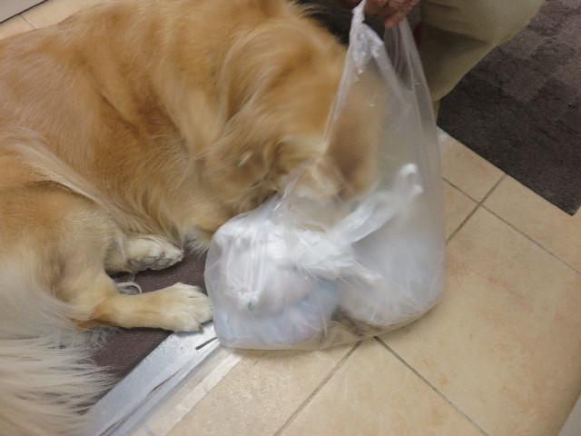 ファイル 4665-4.jpg