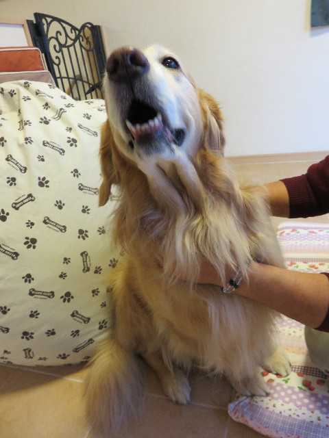 ファイル 4668-4.jpg