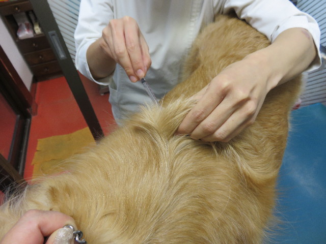 ファイル 4669-4.jpg