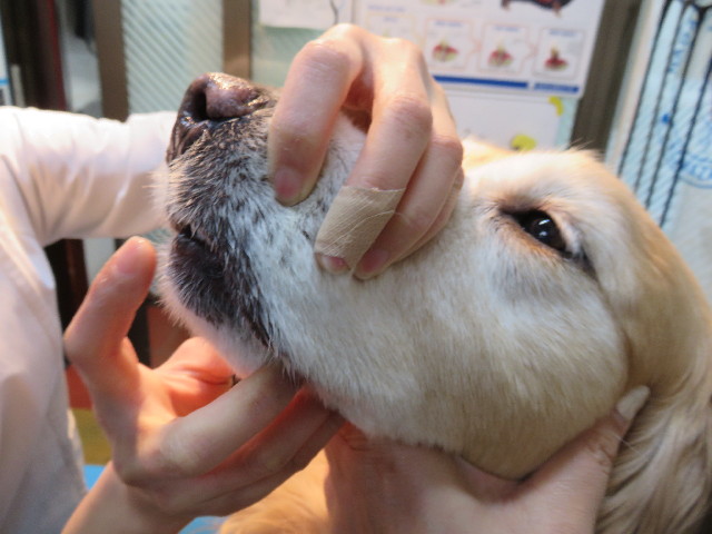 ファイル 4669-5.jpg