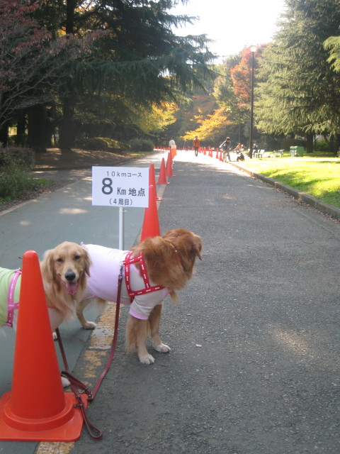 ファイル 467-4.jpg