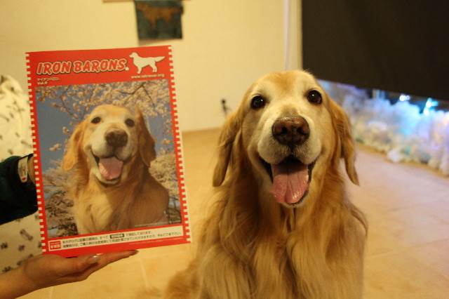 ファイル 4670-2.jpg