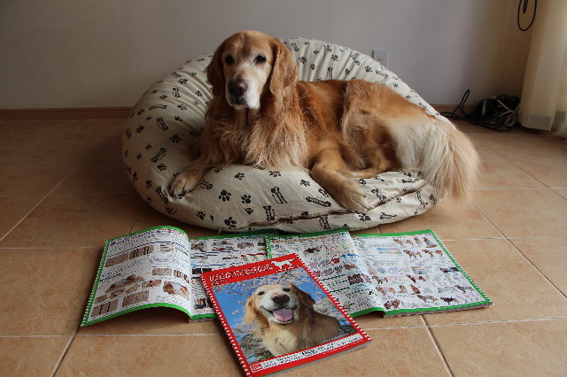 ファイル 4670-5.jpg