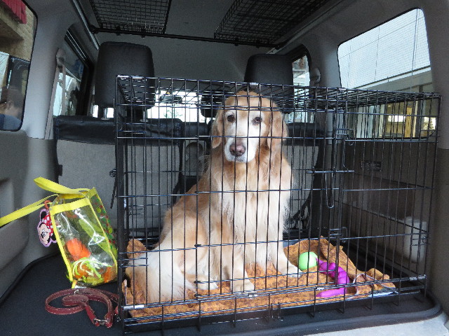 ファイル 4672-1.jpg