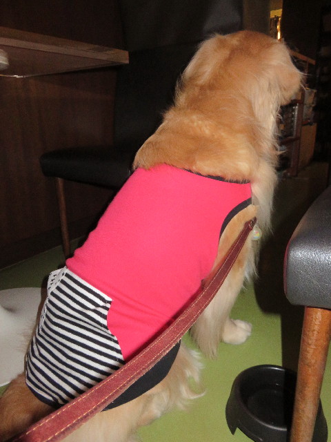 ファイル 4673-4.jpg