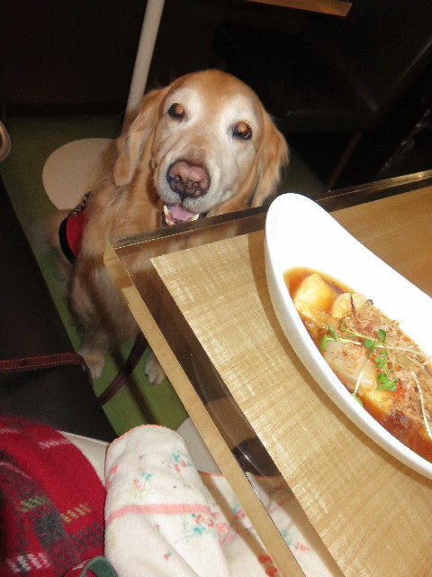 ファイル 4673-5.jpg