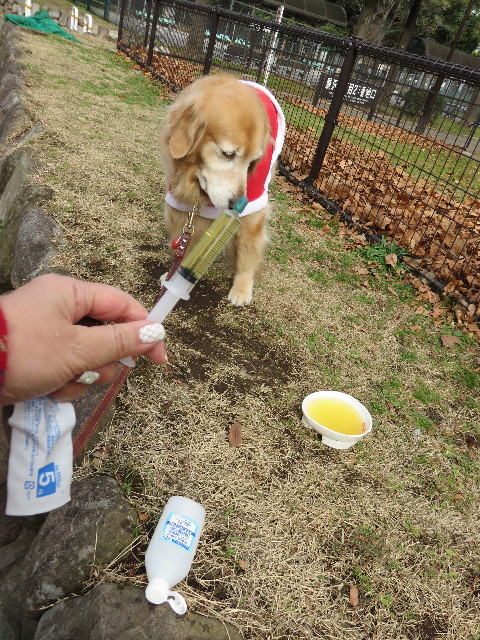 ファイル 4674-2.jpg