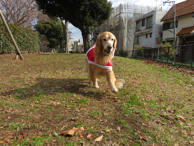 ファイル 4674-3.jpg