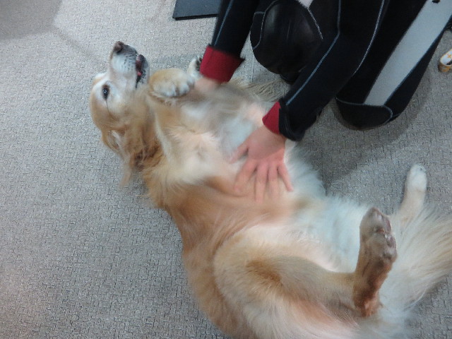 ファイル 4675-1.jpg