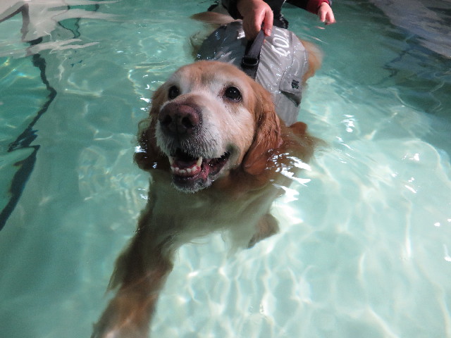 ファイル 4675-2.jpg