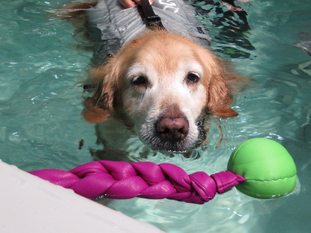 ファイル 4675-3.jpg