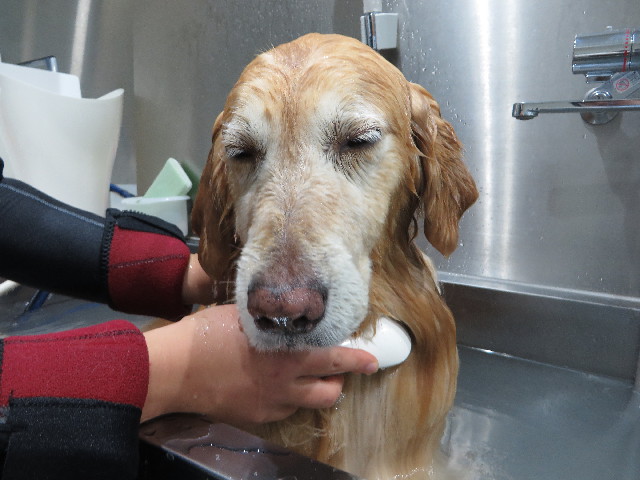 ファイル 4675-5.jpg