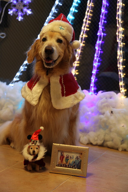 ファイル 4676-1.jpg