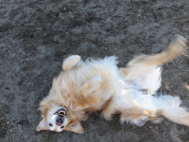 ファイル 4677-1.jpg