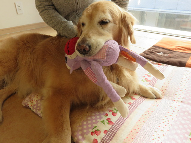 ファイル 4677-2.jpg