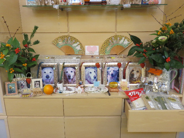 ファイル 4677-3.jpg