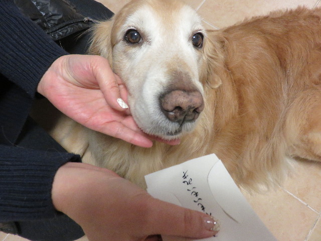 ファイル 4677-4.jpg