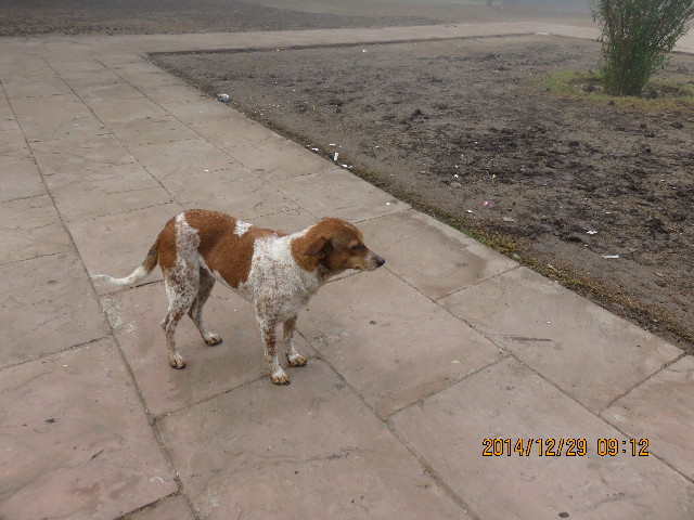 ファイル 4682-2.jpg