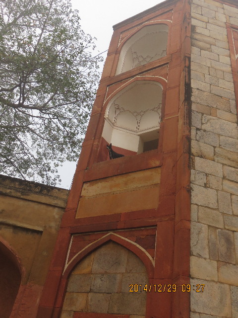 ファイル 4682-4.jpg