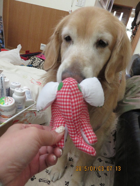 ファイル 4686-1.jpg