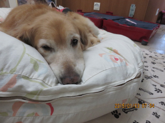 ファイル 4686-4.jpg