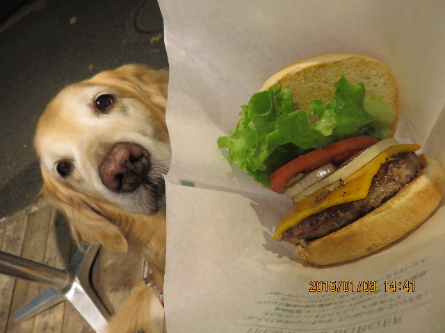 ファイル 4687-1.jpg