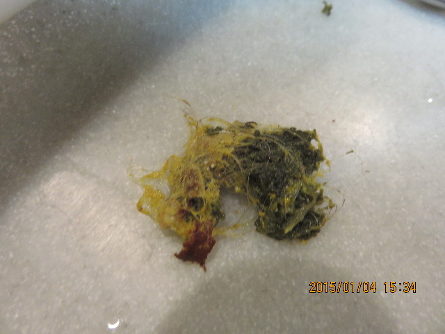 ファイル 4687-2.jpg