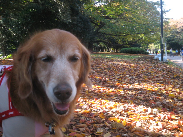 ファイル 469-4.jpg