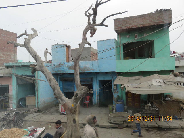 ファイル 4695-5.jpg