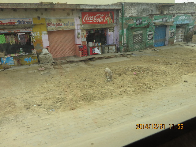 ファイル 4696-2.jpg