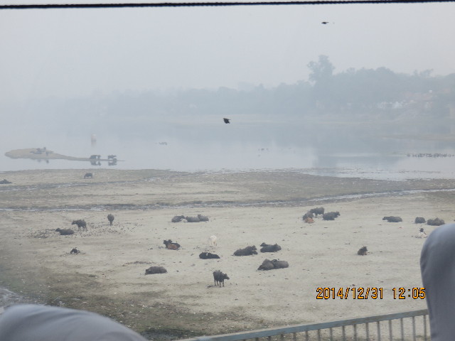 ファイル 4696-4.jpg