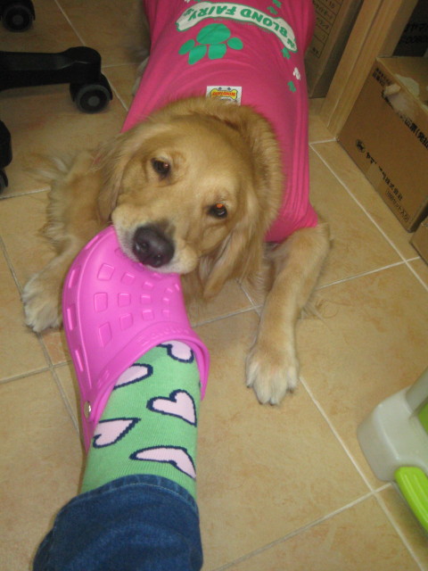 ファイル 470-5.jpg