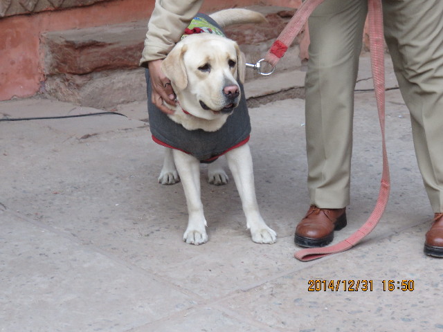 ファイル 4702-5.jpg