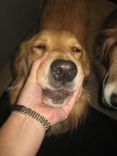 ファイル 471-1.jpg