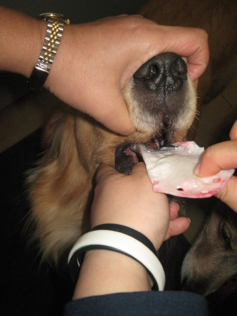 ファイル 471-2.jpg