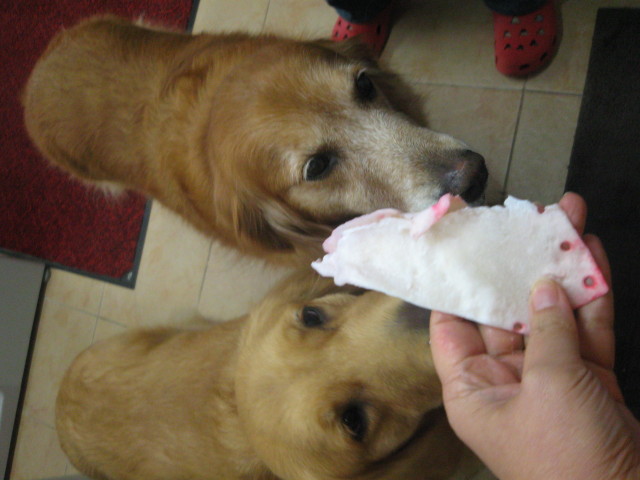 ファイル 471-3.jpg