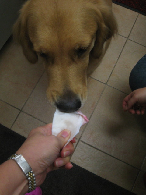 ファイル 471-4.jpg