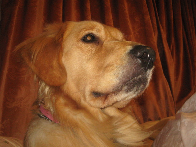 ファイル 471-5.jpg