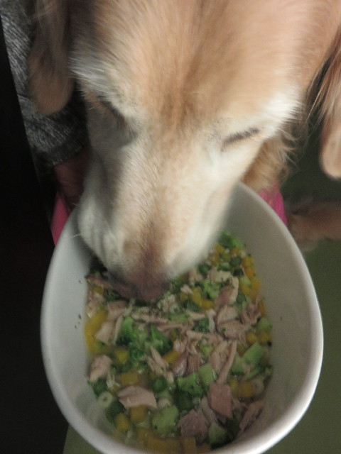 ファイル 4717-4.jpg