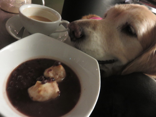 ファイル 4717-5.jpg