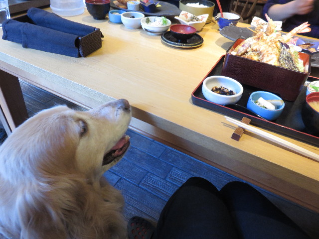 ファイル 4719-2.jpg