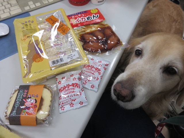 ファイル 4719-4.jpg