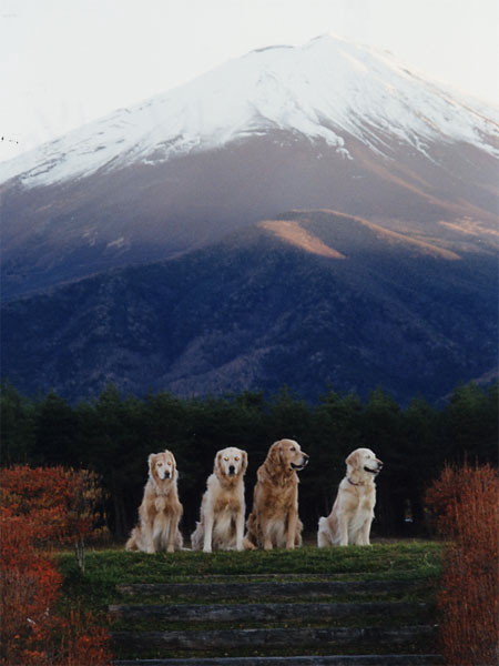 ファイル 473-2.jpg