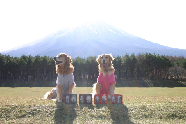 ファイル 473-3.jpg