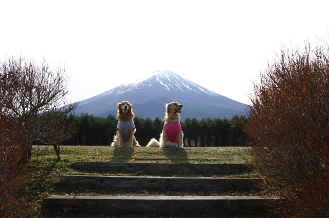 ファイル 473-4.jpg