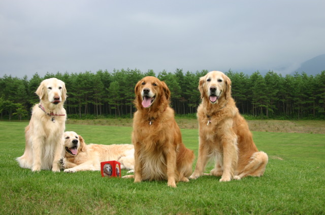 ファイル 473-5.jpg