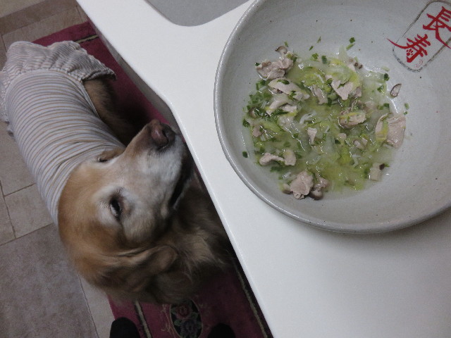 ファイル 4730-4.jpg