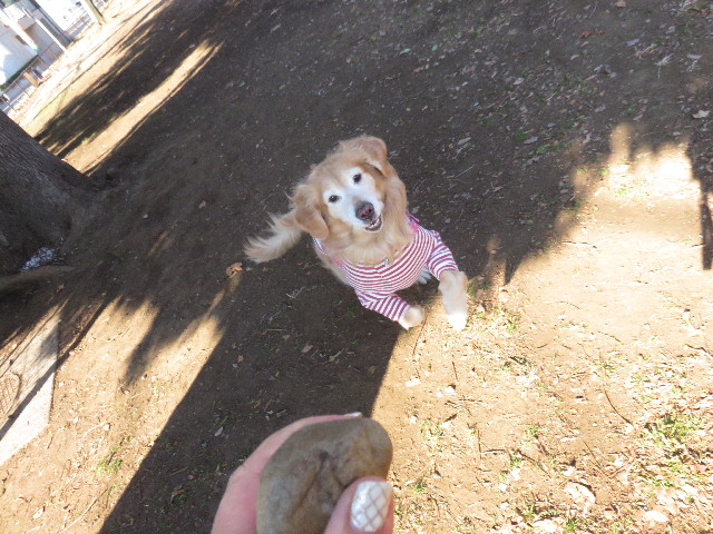 ファイル 4731-1.jpg